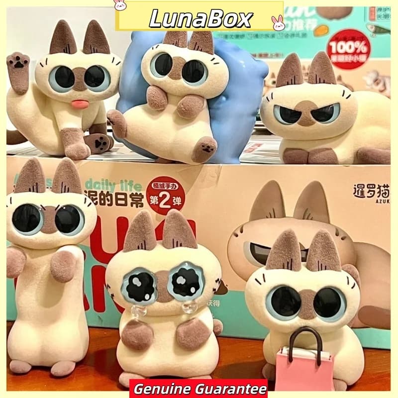 Novo genuíno azuki pode azukisan vida diária 2a série caixa cega gato siamês kawaii modelo caixa misteriosa caixa surpresa meninas presentes