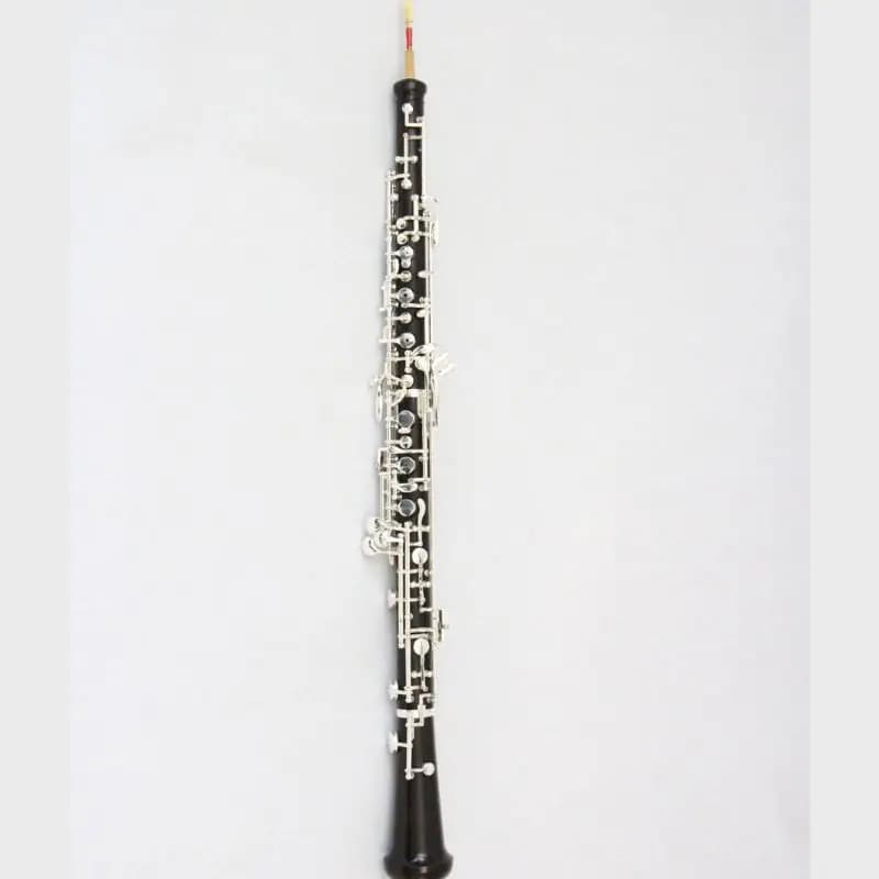 Oboé de Madeira de Ébano com Acabamento Prateado, Instrumento Musical de Boa Qualidade com Estojo