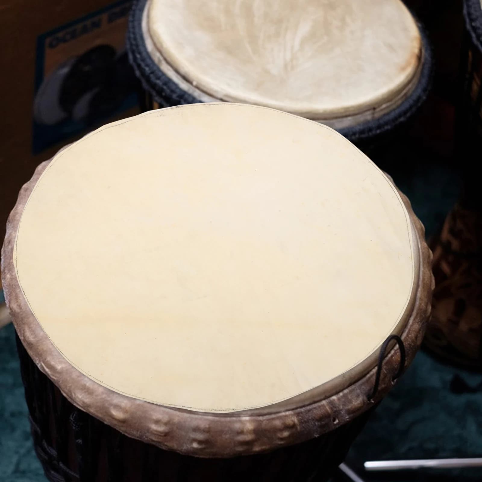 Pele de tambor de cabra africana de 50cm para djembe, conga e tamborim