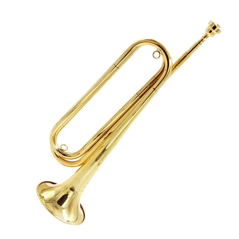 Bb tuba profissional banda desempenho tuba adultos iniciantes prática tubas laca ouro modulação instrumentos de bronze com saco