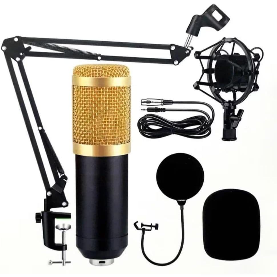 Kit Microfone Estúdio BM800 + Pop Filter + Aranha + Braço Articulado