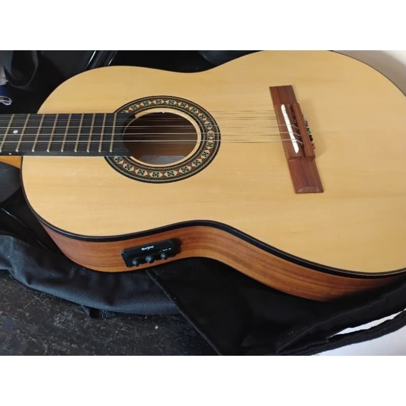 Viola Caipira Rozini Eletroacústico