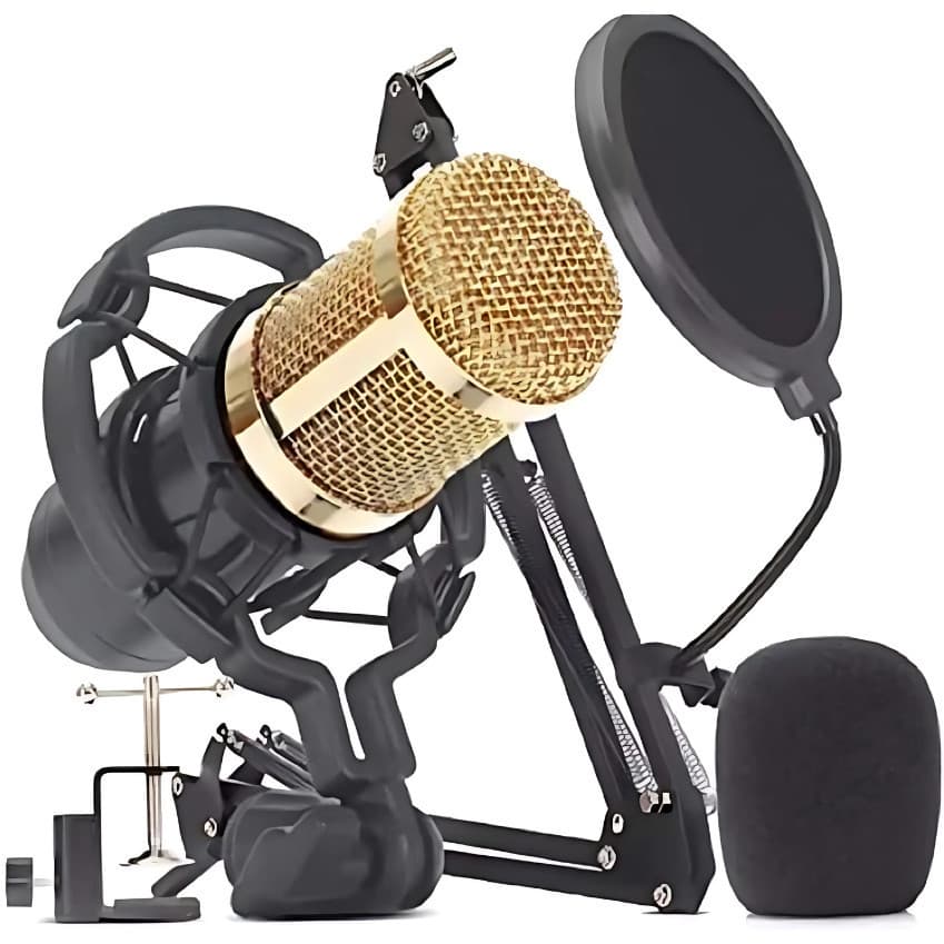 Microfone condensador profissional BM800 com braço articulado e pop filter, fundo branco