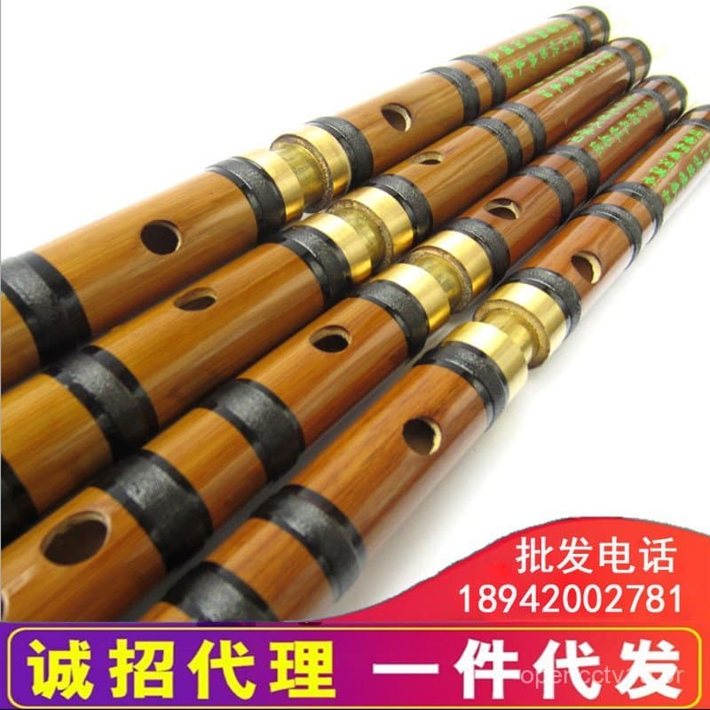 [Free Reed] Flauta transversal de dupla seção, boa qualidade sonora, flauta transversal em tonalidades CDEFG, instrument
