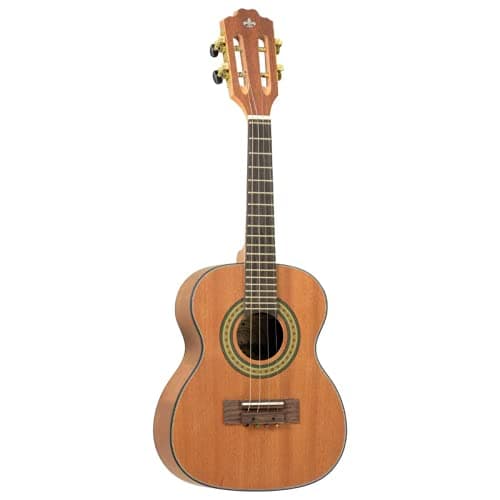 Cavaquinho Strinberg Cs25 Mgs