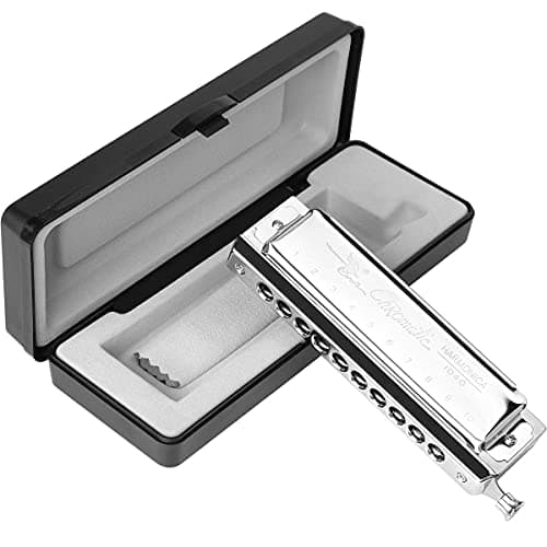 Gaita cromática profissional grau 10 furos 40 tons chave de aço inoxidável resistente com estojo e pano de limpeza para músicos profissionais, banda, iniciantes, estudantes