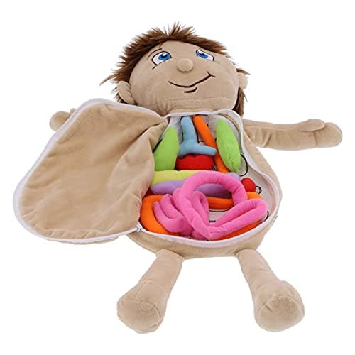Solinder Boneca de Aprendizagem de Anatomia Pelúcia órgãos do Corpo Humano para Crianças, Ferramenta Educacional para Auxiliares Ensino Em Sala Aula, Material Fibra Poliéster, 18,1 Polegadas (menino