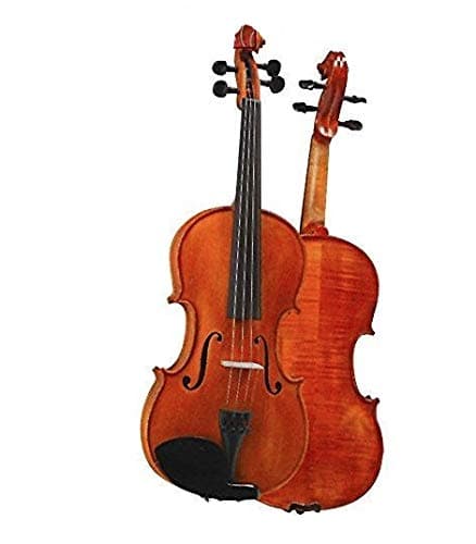 D Z Strad viola Modelo 101 com cordas, estojo, arco, descanso de ombro e colofónia (42 cm - tamanho)