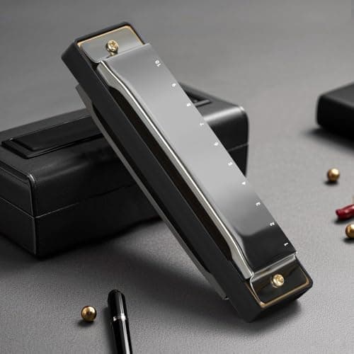Gaita, Gaita de Boca, Gaita Diatônica Blues Chave C, Blues Boca Organ Harmonica 10 Furos com Caixa Preto, Gaita Padrão para Adultos, Profissionais, Iniciantes e Estudantes, 100 * 28 * 18mm