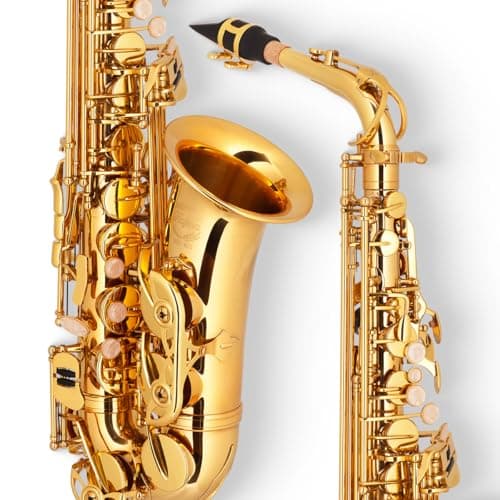 Saxofone Alto HSA400 Sib Laqueado Hofma Com Case Si Bemol Dourado