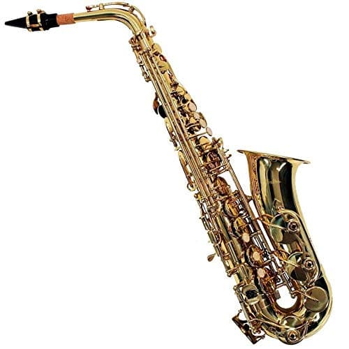 SAXOFONE ALTO SHELTER SFT6430L