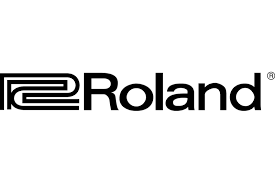 ROLAND Teclas e audio