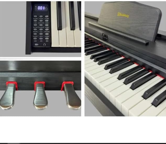 Detalhes do painel, teclas e pedais do piano digital Waldman Staccato DPST-88 preto.