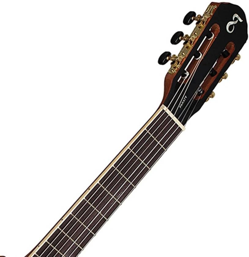 Braço e cabeça do violão clássico acústico Tagima com tarraxas douradas e logo branco