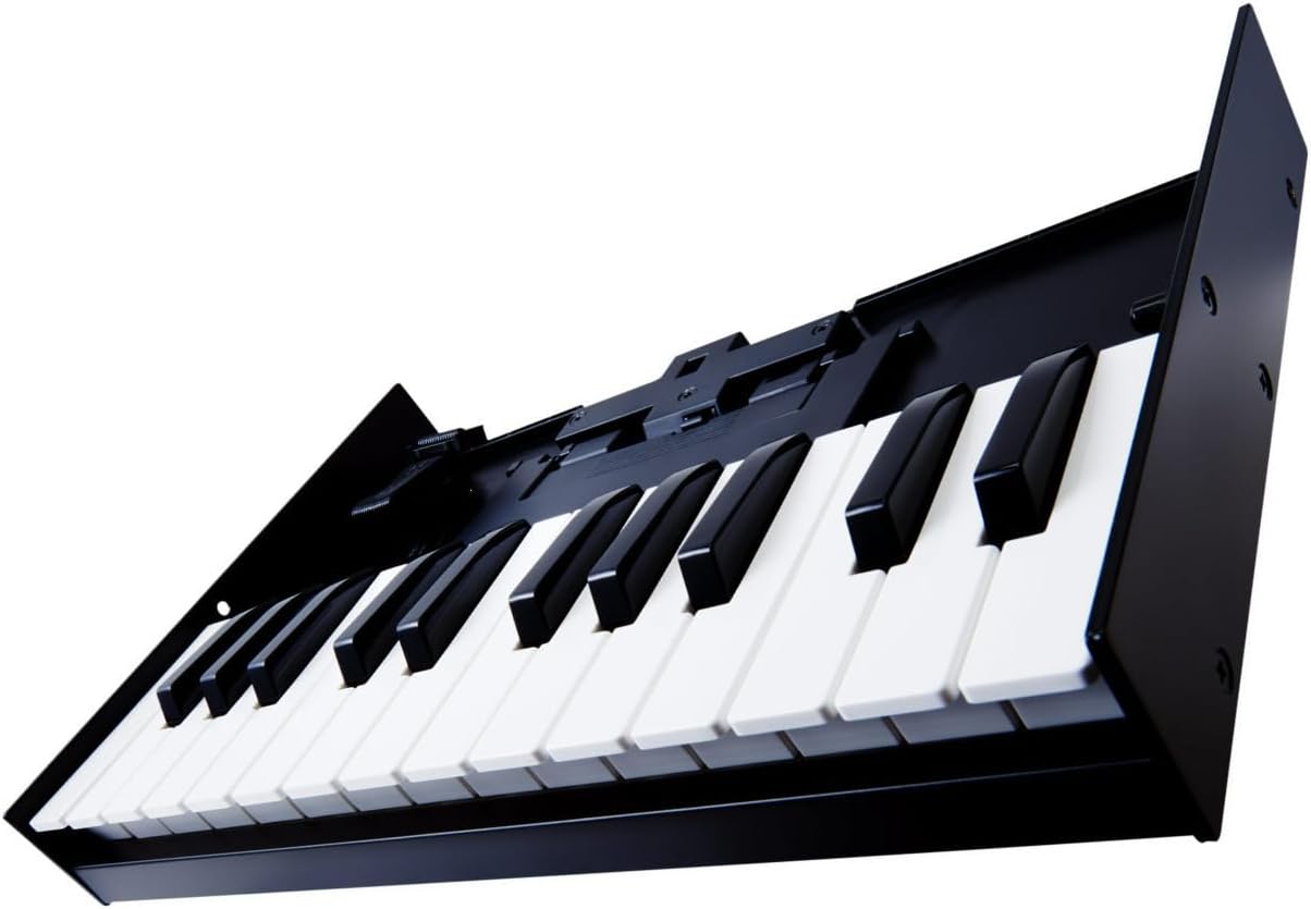 Teclado MIDI Roland K-25M Boutique 25 teclas vista lateral em ângulo com dock USB