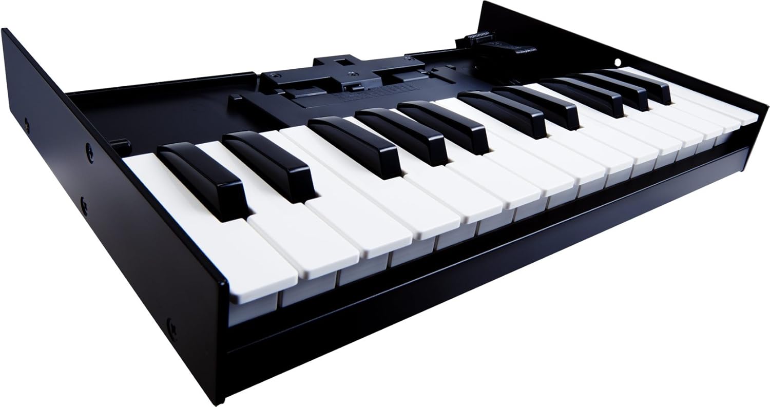 Teclado Roland K-25M portátil preto com 25 teclas sensíveis à velocidade para módulos Boutique