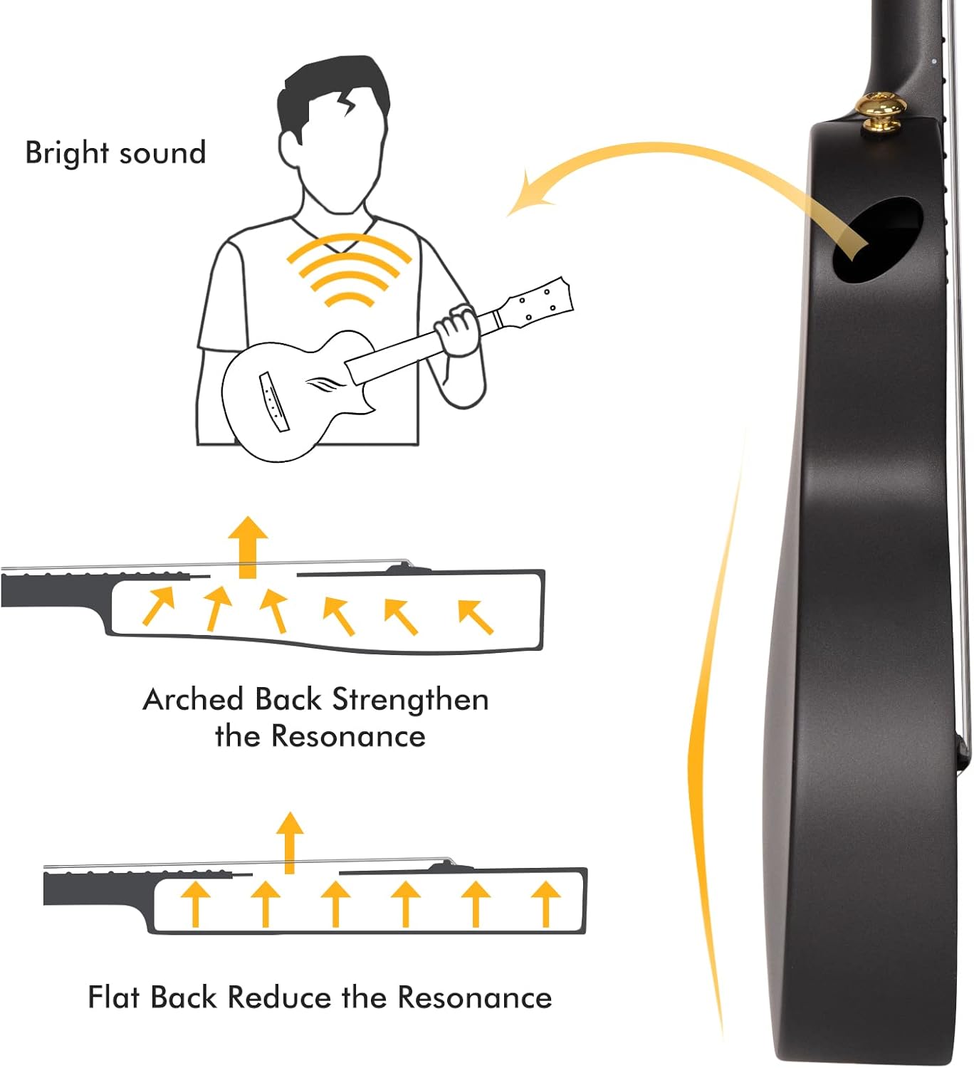 Diagrama destacando ressonância melhorada do ukulele Enya Nova U devido ao fundo arqueado