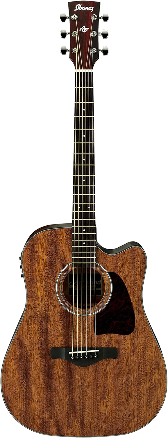 Ibanez Artwood AW54CE-OPN violão eletroacústico natural opaco com corpo em madeira texturizada, braço escuro e tarraxas cromadas